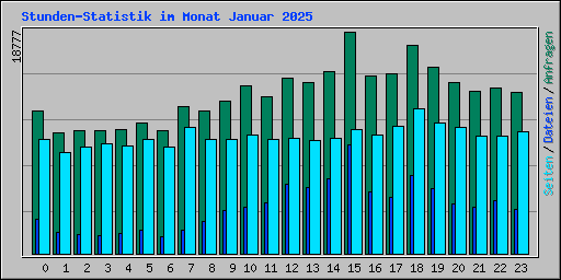 Stunden-Statistik im Monat Januar 2025
