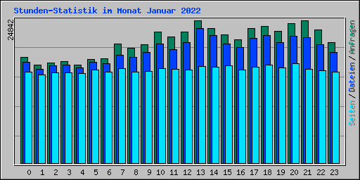 Stunden-Statistik im Monat Januar 2022