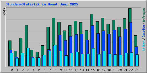 Stunden-Statistik im Monat Juni 2025