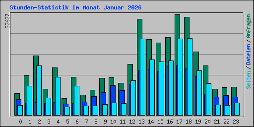 Stunden-Statistik im Monat Januar 2026